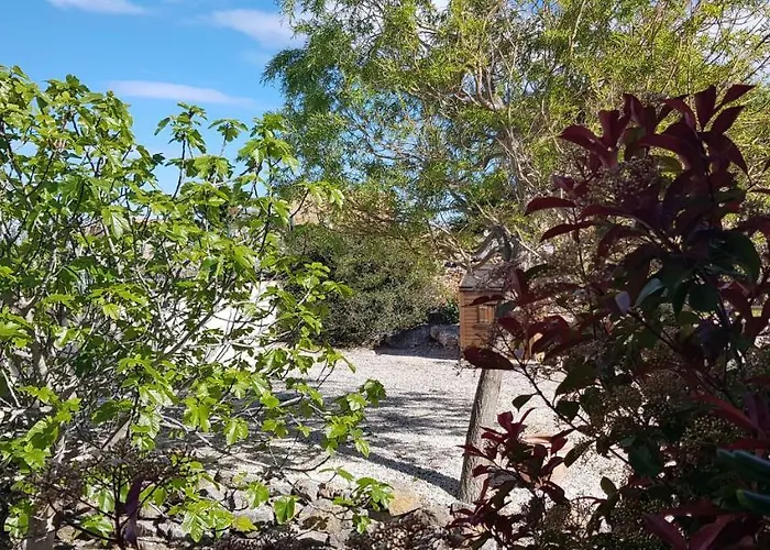 La Marquesa فيلة